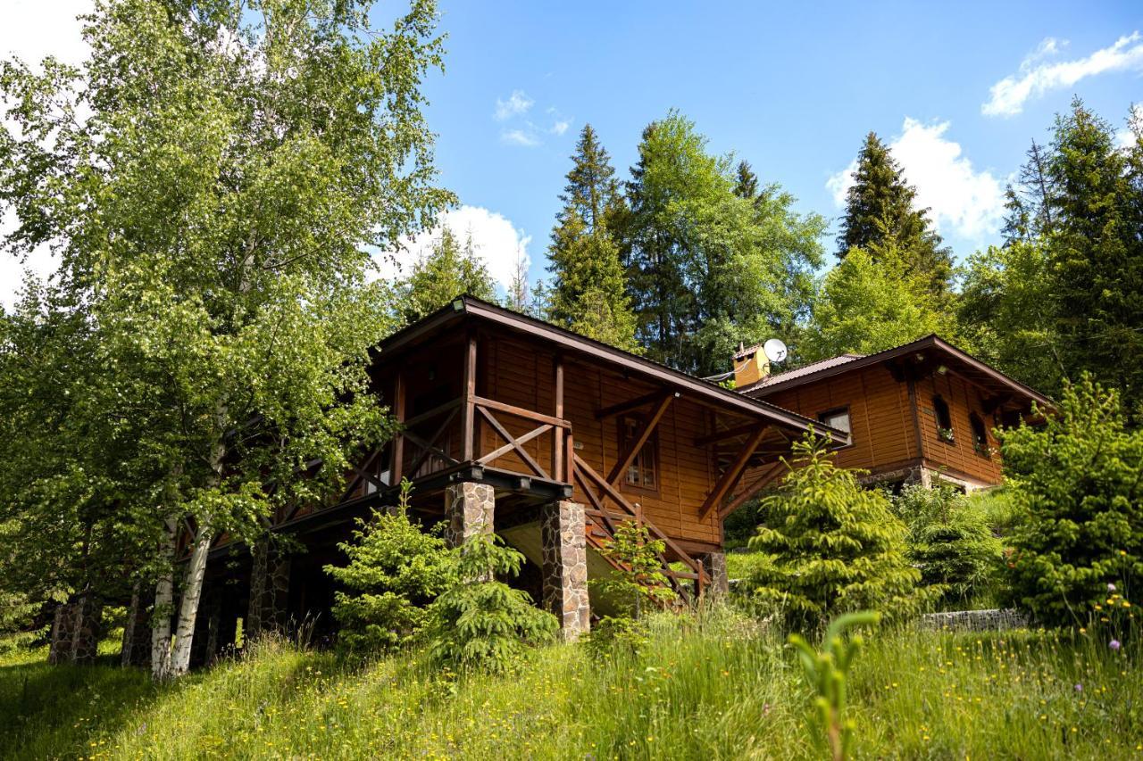 Медовий Двір Rozhanka Nizhnyaya Exterior photo