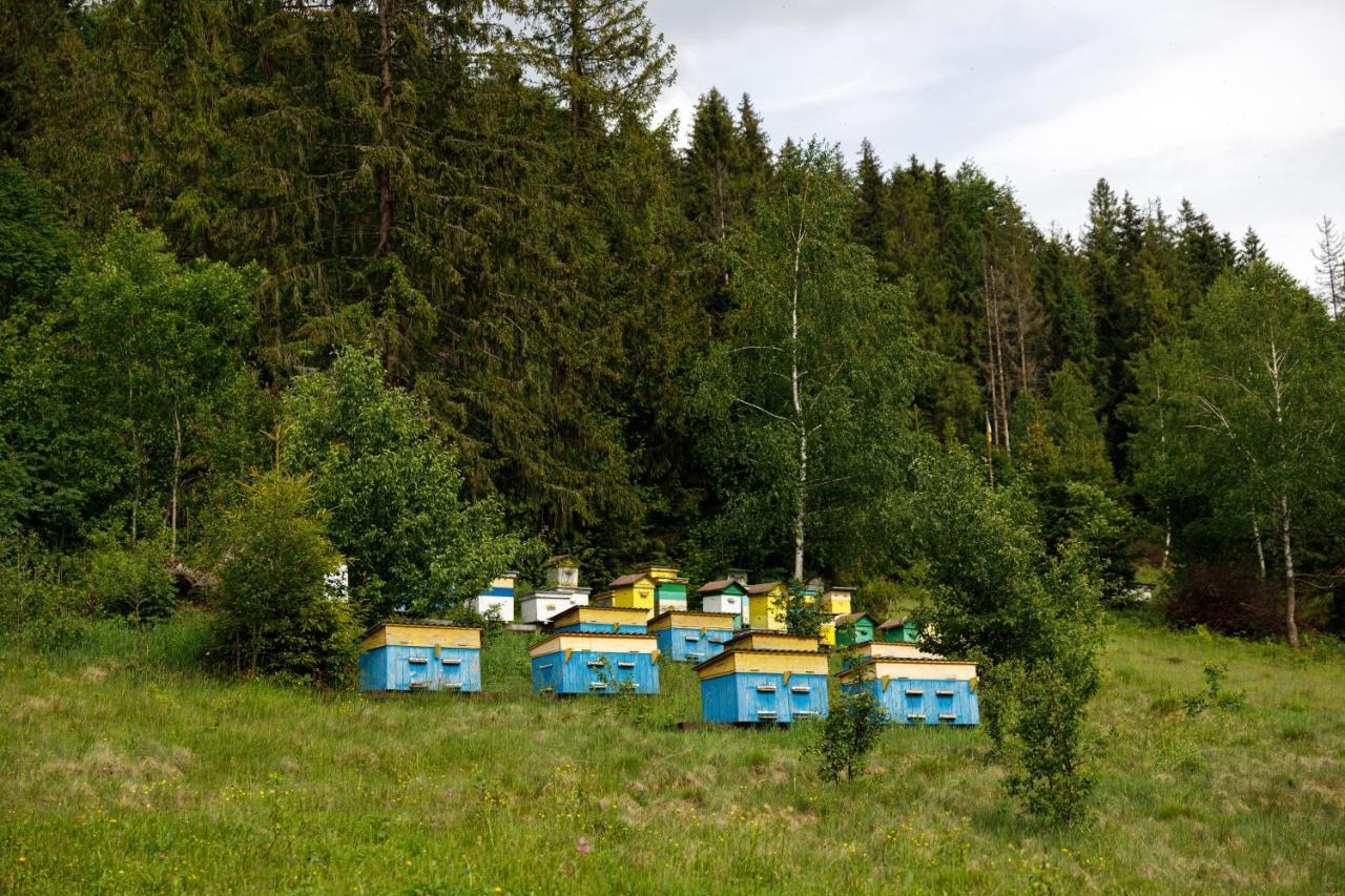 Медовий Двір Rozhanka Nizhnyaya Exterior photo